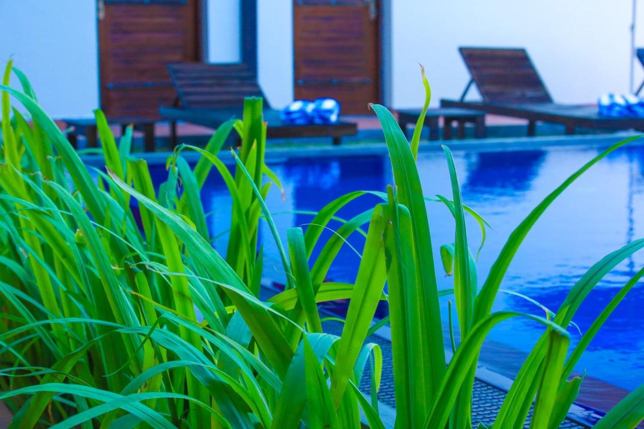 Ali Weta Safari Resort 达瓦拉维 外观 照片