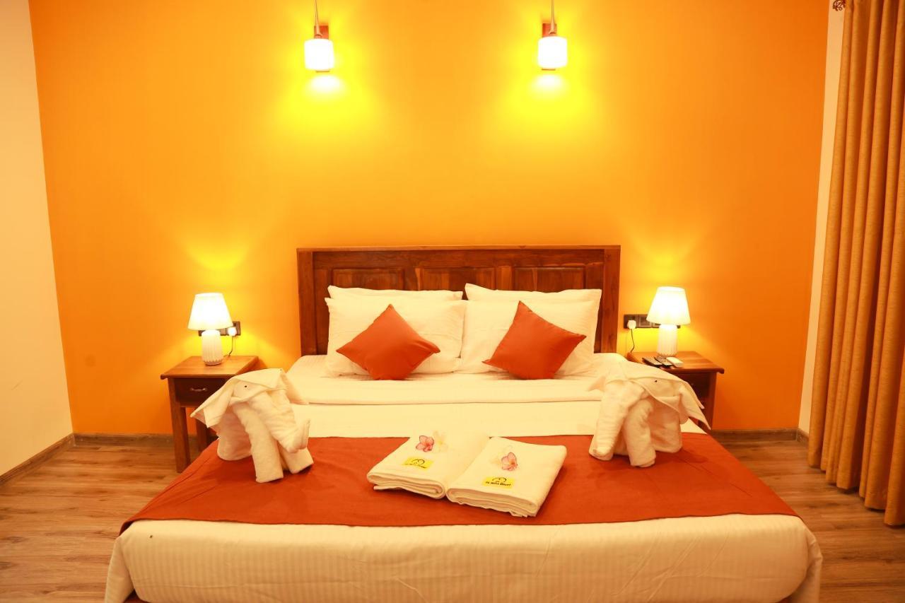 Ali Weta Safari Resort 达瓦拉维 外观 照片