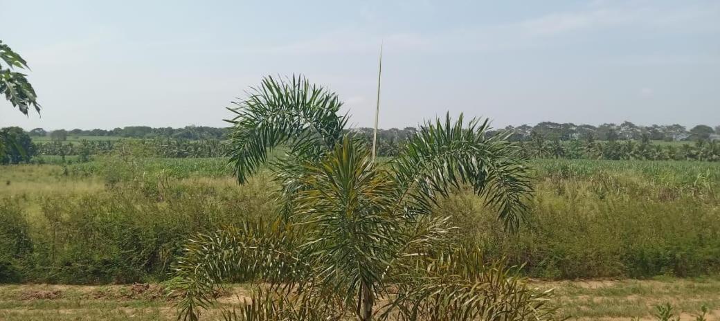 Ali Weta Safari Resort 达瓦拉维 外观 照片